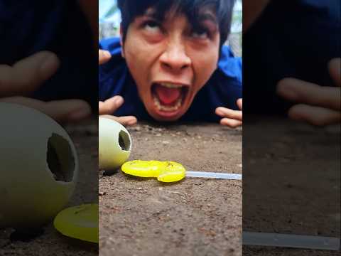 Angry, no matter what I have to do, I'll do it, as long as that millipede gets out of this egg