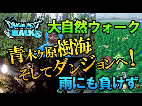 【ドラクエウォーク120】雨の中ガチウォーク！青木ヶ原樹海をさまよい、ダンジョンへ…