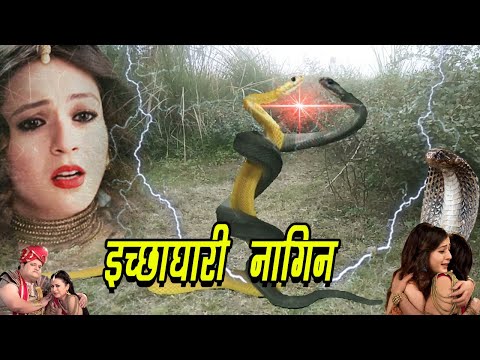 नागिन फसी बहुत बड़े मुसीबत में | Ichhadhari Naagin | Nagin Show 2024 @kivitv616