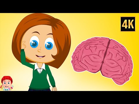 Candy for the Brain & More Fun Learning Rhymes for Kids