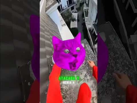 Si ves a este gato, ¡llama a la policía! 🐱