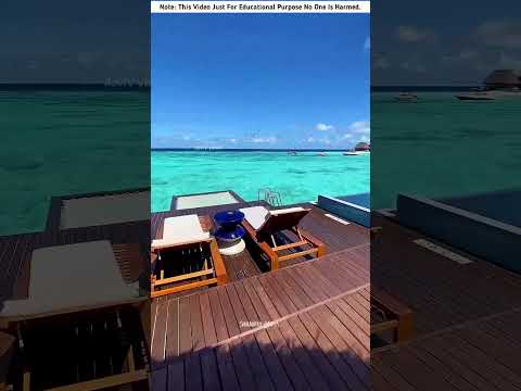 Building Wooden Log Cabin in Forest ๐ฒ๐คฏ | Survival House Step by Step"7 #facts #amazingfacts