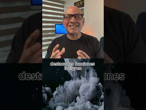 Qué es "Meta AI"?, la nueva inteligencia artificial de WhatsApp