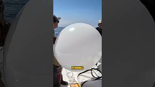 He Used a Kite to Catch Fish… Wait for It 😳 #shorts