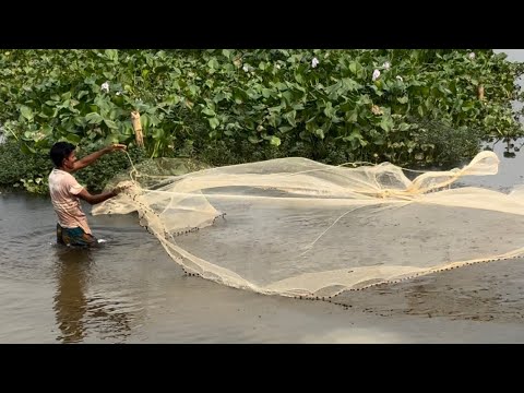 Net Fishing