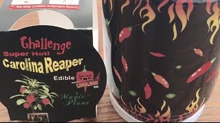 CAROLINA REAPER MAGIC PLANT GROW KIT CAN WORLD HOTTEST PEPPER