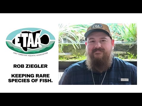 East Tennessee Aquatic Association ETAA March 2023 The East Tennessee Aquatic Association's March 2023 Rob Ziegler goes into great detail about keeping
