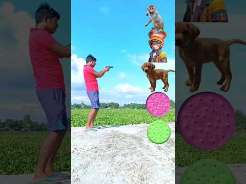 Colouring biscuits to monkey, dog, cat & elephant - funny vfx magical video #shorts #trending
