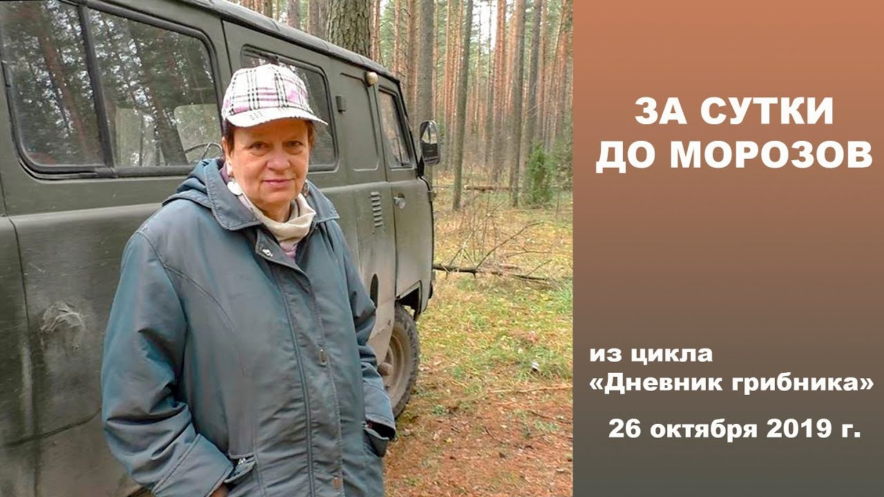 За сутки до морозов и снега! 26 октября 2019