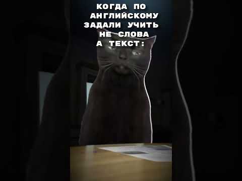 пов: самое бессмысленное в дз 🫠 #cats #memes #shorts