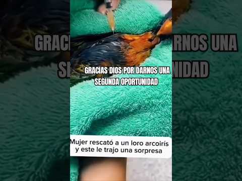 Gracias Dios por darnos una segunda oportunidad en nuestra vida