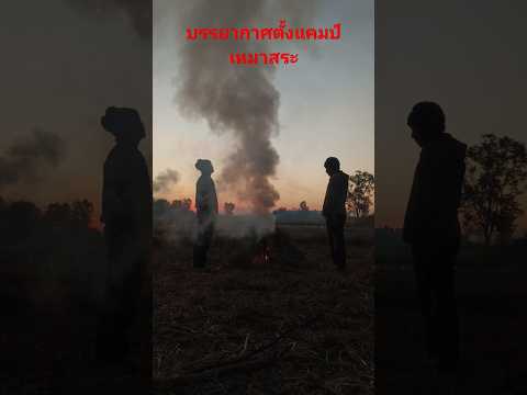 บรรยากาศตั้งแคมป์เหมาสระ ตุ้มแพรว พาเพลิน บรรยากาศตั้งแคมป์เหมาสระ