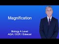 Calculating Magnification and Size