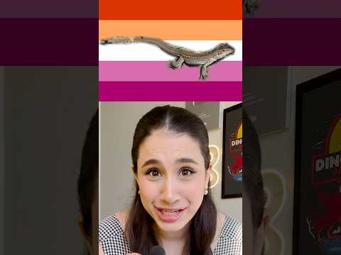 Existe uma espécie de lagarto inteirinha composta só por fêmeas! E todas LÉSBICAS! 🌈🦎