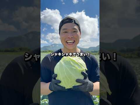 サバ缶キャベツ！群馬の嬬恋高原キャベツを使ったソウルフード！#pr