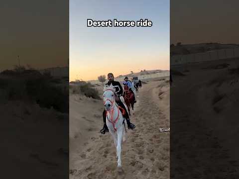 Desert horse riding Dubai #horse #horsetrack #horseriding #equestrian