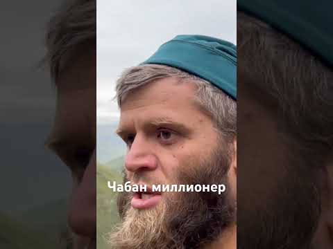 Стадо 3000 и их владелец Малик.