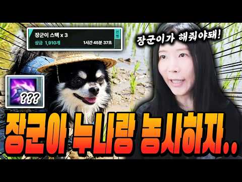 스택을 쌓을 <strong>수록</strong> 내 간식비가 생기는거개~~