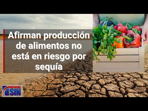 #SINyMuchoMás: Sequía, alimentos y tránsito