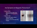 Sunspots and Their Effects