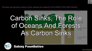 Carbon Sinks, The Role of Oceans And Forests As Carbon Sinks