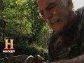 Survival Skills in the Appalachian Mountains