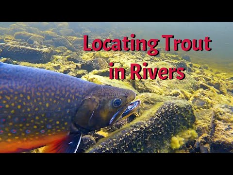 Locating Trout in Rivers