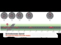 Exploring Speed, Velocity, and Acceleration Concepts