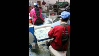 factory visit   pillow production line