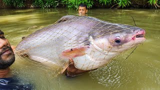 Big Fish Catch in Cast Net | Cast Net Fishing | Fish Catching by Cast Net #fishing #fish