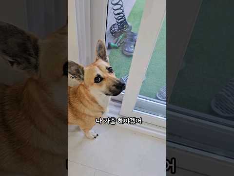 언니....나 집 나갈래...
