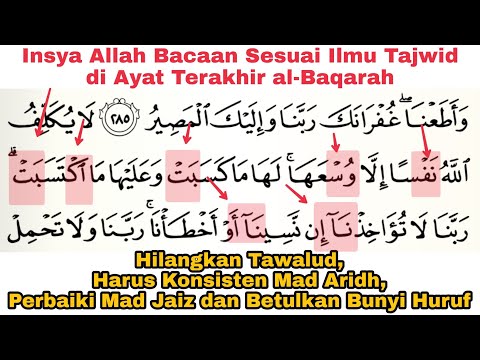 Wajib Tahsin Ayat Terakhir al-Baqarah | Tahsin Surat al-Baqarah Ayat 286, Hilangkan Bacaan TAWALUD