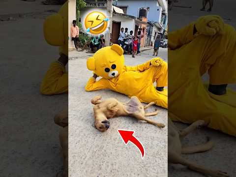 Teddy 🧸with Dog🐕🤣……#funnyshorts #comedy #teddybear