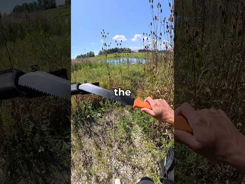 Food <strong>chain</strong> fishing challenge