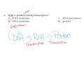 DNA and RNA Processes