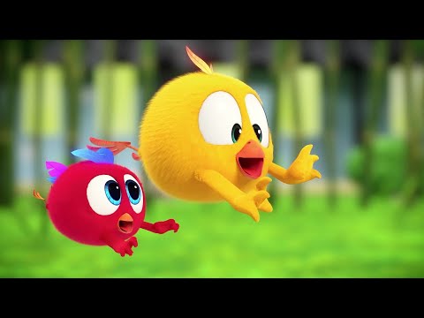 Jardim da Chicky | Onde está Chicky? | Pintinha amarelinho | Coleção desenhos animados Infantil HD