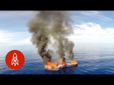 YouTube video thumbnail: The War Against Poachers in Palau
