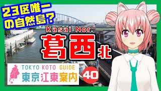 【どんな街？】東京江東案内 第40回 葛西（北側）編【まゆつな空高 東京城東エリア紹介VTuber】