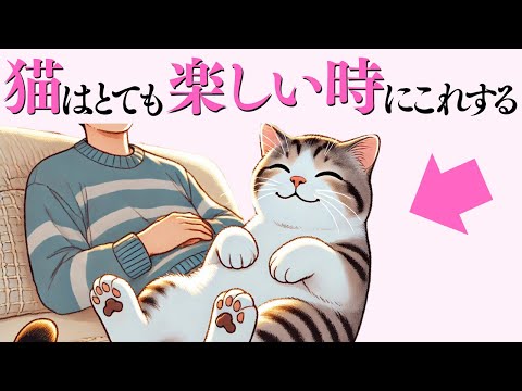 猫が楽しいときに見せるしぐさと行動の解説 サムネイル