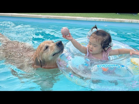 お互いを理解し合い上手にプールで遊ぶ1歳児とゴールデンレトリバー