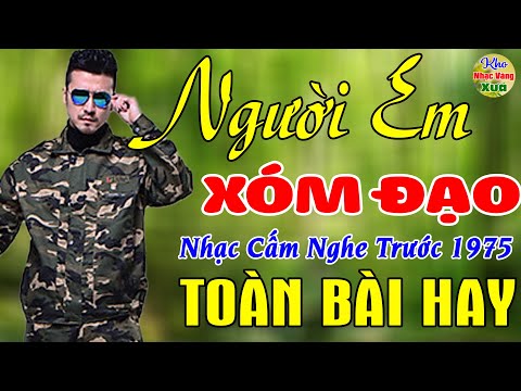 Người Em Xóm Đạo, Nhịp Cầu Tri Ân ✨42 Bài Nhạc Vàng Xưa KHÔNG CÓ QUẢNG CÁO Dễ Ngủ Ngọt Lịm Tim