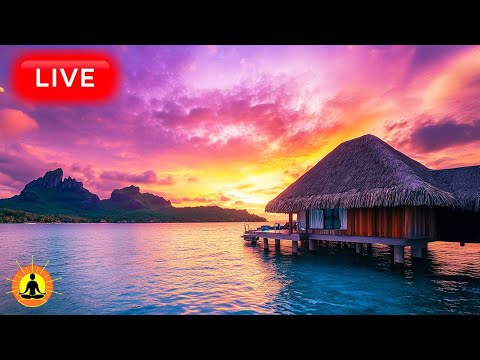 🔴 Relaxing Music 24/7: Stress Relief Music, Sleep Meditation Music, Study Music | Tropical Ambience