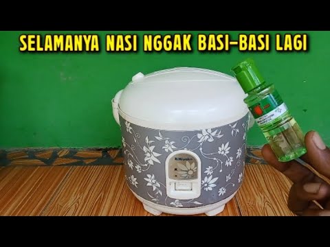 BANYAK YANG BELUM TAU!! BEGINI CARA SUPAYA NASI DI MAJIKOM TIDAK BASI BASI LAGI