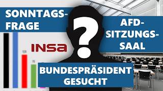 INSA-Umfragen: Sonntagsfrage, Sichere Stimmen, Bundespräsident gesucht, AfD-Sitzungssaal...