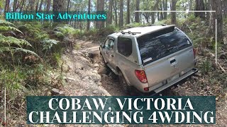 4wding at Cobaw State Forest | January 2023