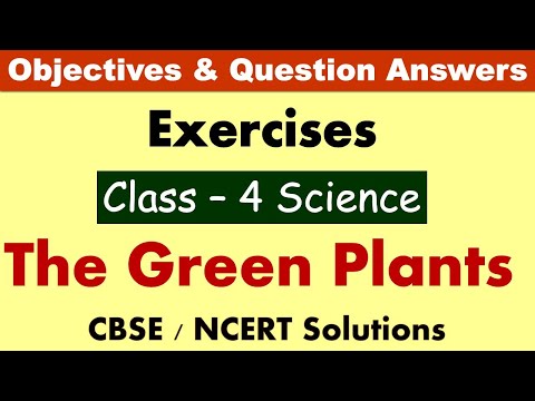 The Green Plants | Class:4 Science | Exercises and Question Answers| CBSE/NCERT | MCQ and objectives