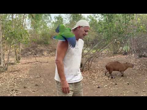 La vida es dura a veces