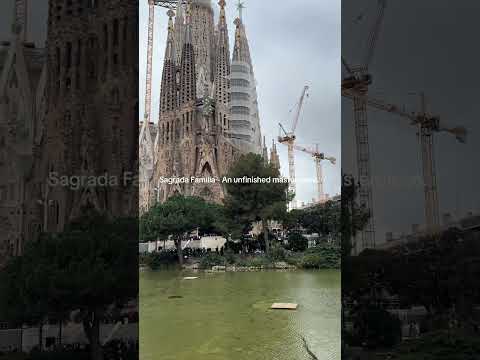 Is this sight alone worth a trip to Barcelona?🏛️ #BarcelonaCathedral #architectural #SagradaFamilia