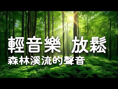 用自然靜謐的音樂迎接新的一天－森林溪流的聲音，輕柔的旋律讓你徹底放鬆 - 輕音樂 放鬆