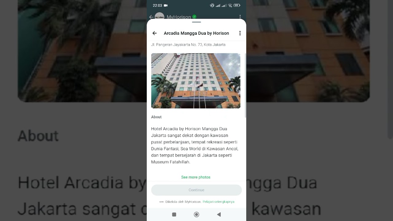 Video MyHorison.Chat